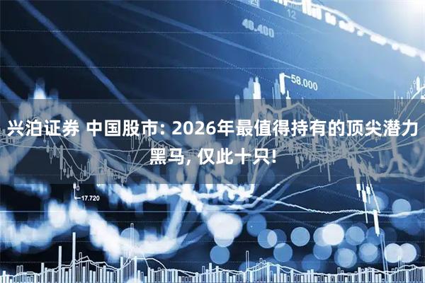 兴泊证券 中国股市: 2026年最值得持有的顶尖潜力黑马, 仅此十只!