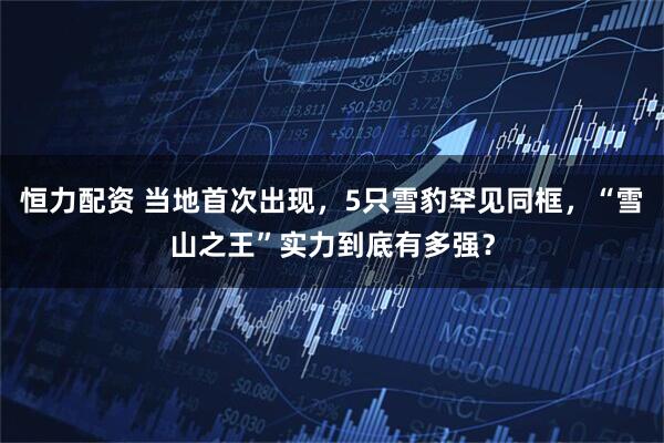 恒力配资 当地首次出现，5只雪豹罕见同框，“雪山之王”实力到底有多强？