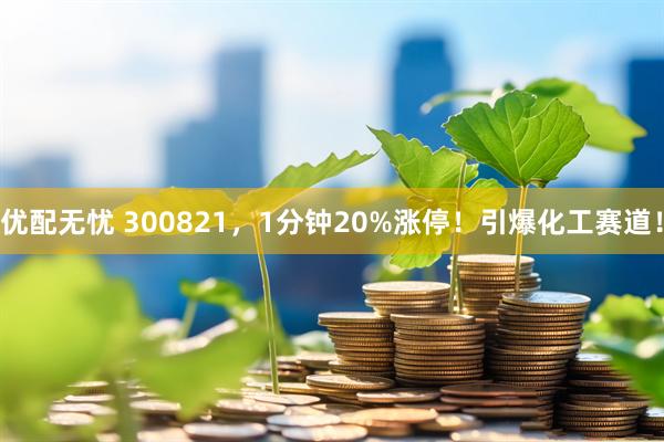 优配无忧 300821，1分钟20%涨停！引爆化工赛道！